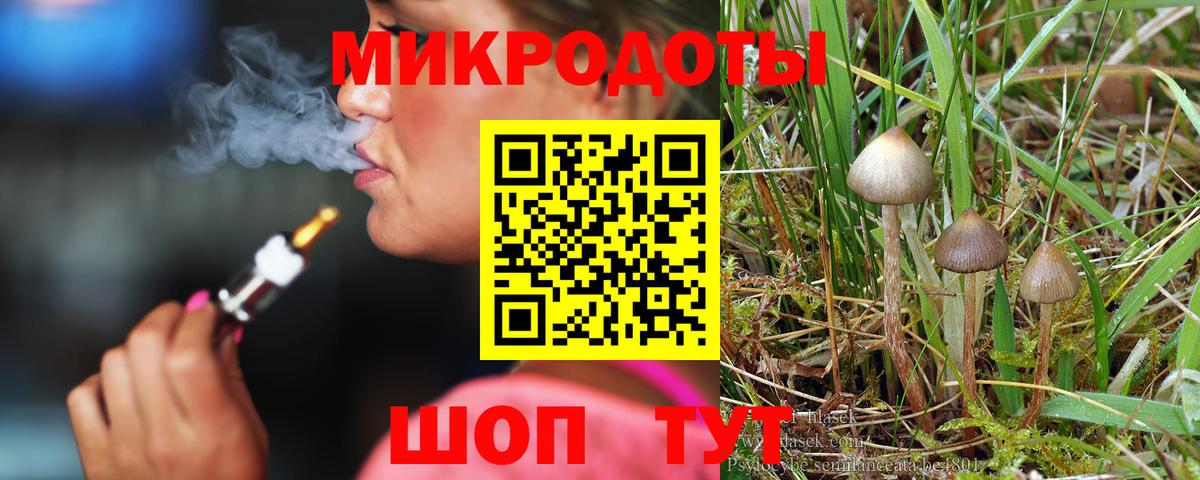 Галлюциногенные грибы Psilocybine cubensis Мценск