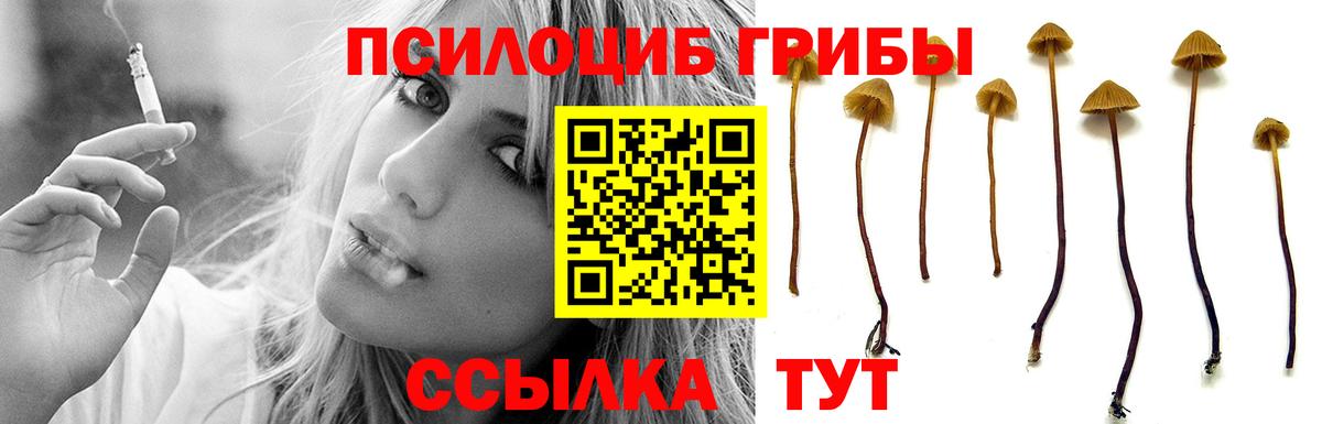 наркотики  Псилоцибиновые грибы мухоморы  Вход с VPN  Мценск 
